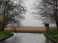 Keukenhof